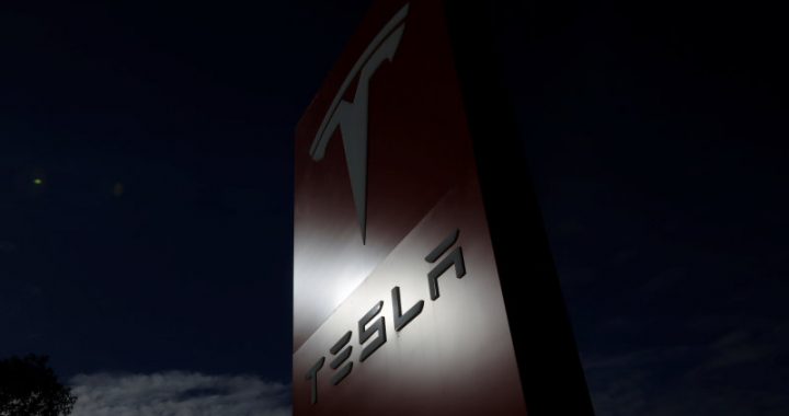 Tesla Shares Rise Amidst Challenges and Cost-Cutting Measures